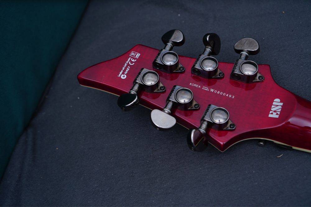 Esp ltd ninja 600 Michael Amott