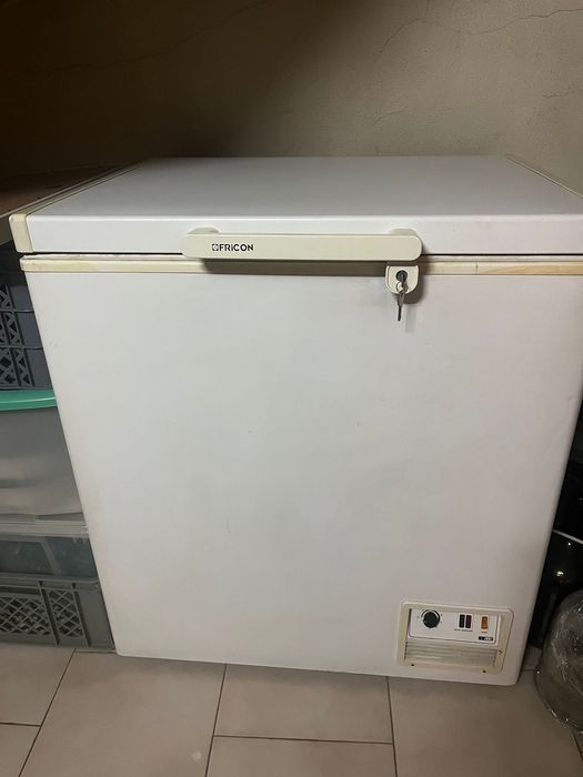 Arca congeladora Fricon