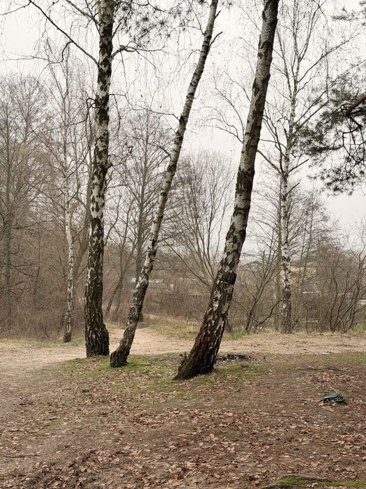 Продается дача, с/о «Механизатор»