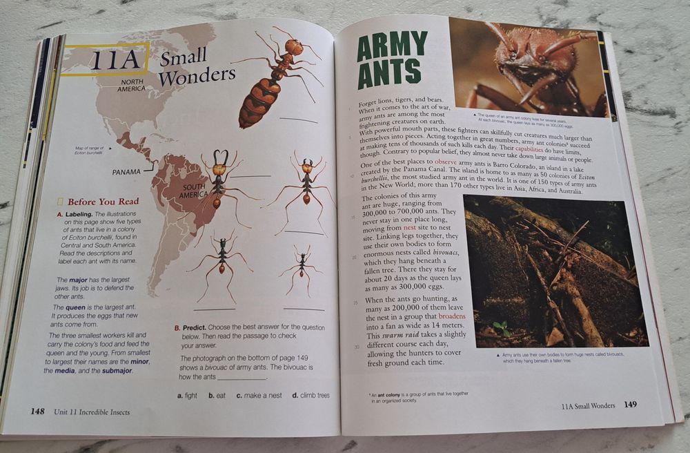 Учебник Reading Explorer 2, 350 грн.