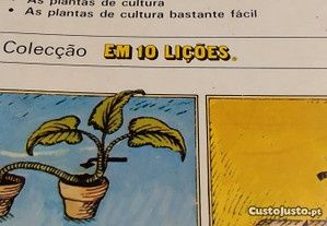 Livro Plantas Apartamento 10 lições Louis Giordano - ÚLTIMOS DIAS