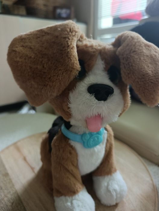 FurReal Friends Rozgadany Charlie, Rozszczekany Beagle firmy Hasbro.