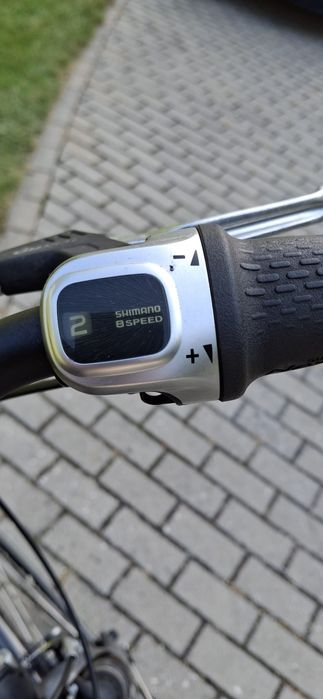 Rower męski Pegasus