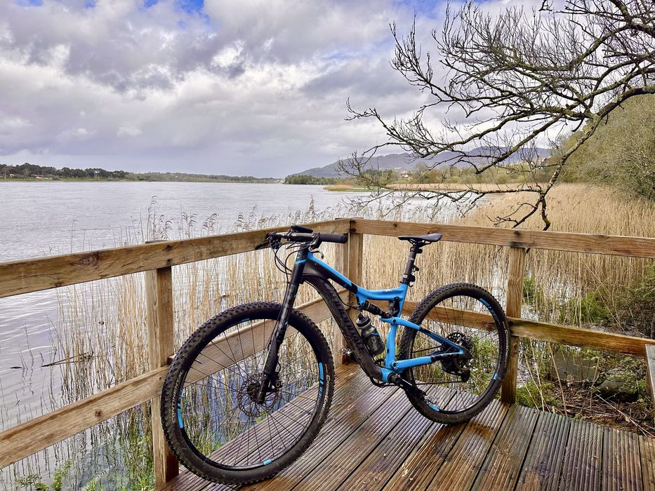 Cannondale Scalpel  carbon 2 Left