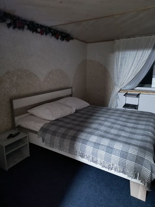 Відпочинок в Карпатах Mountain Dew