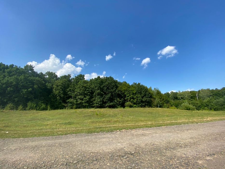 Документи готові для продажу