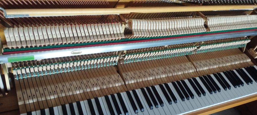 Piano Grotian-Steinweg Transporte e Afinação incluídos