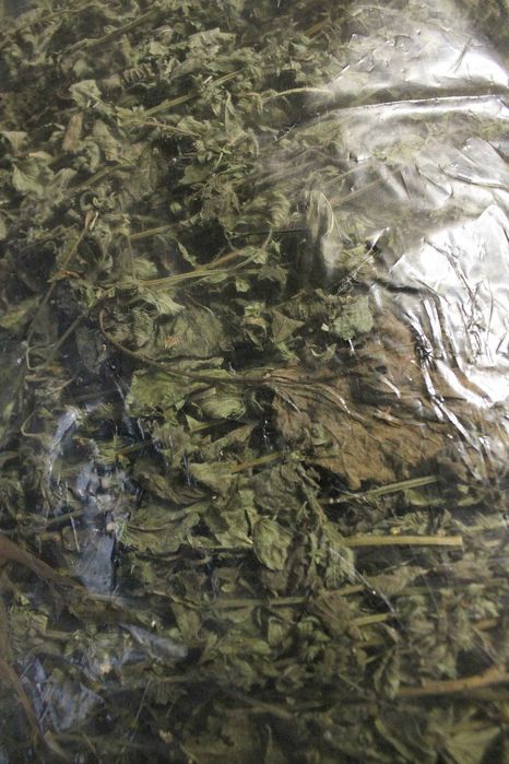 Мята Мелисса Сушеная (пакет 200 грамм)