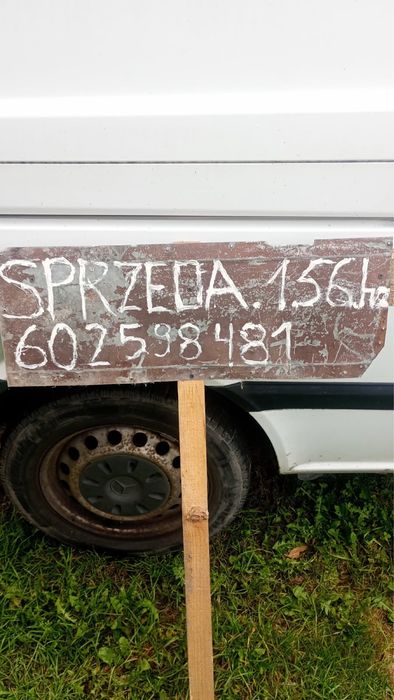Zdjęcie 2