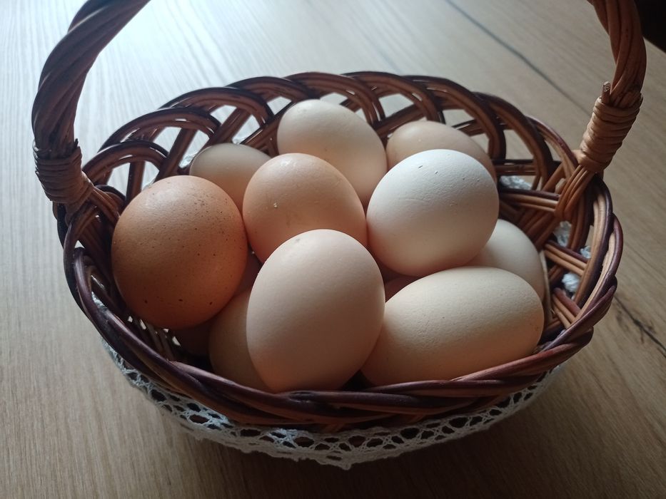 Jajka wiejskie, swojskie.