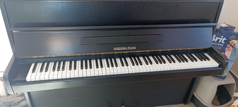 Pianino nordiska