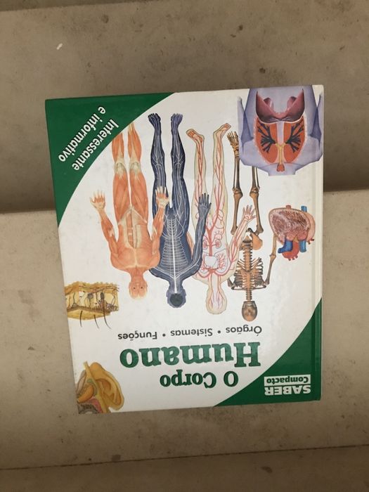 Livro infantil sobre o corpo humano