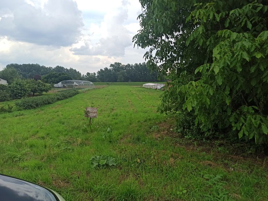 Duża działka rolno- budowlana - Widok 2