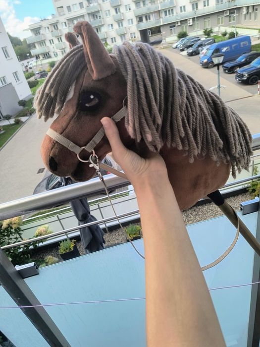Hobby horse piękny