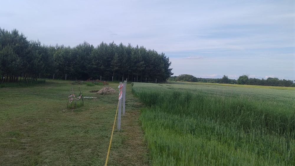 Działka rolna rekreacyjna wypoczynkowa - Widok 2