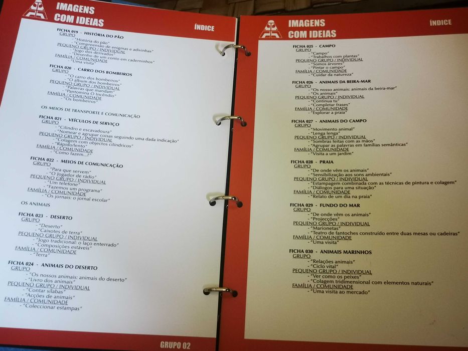Enciclopédia Educação Infantil - dossiers temáticos