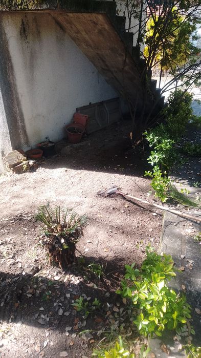 Limpezas de jardim e Pinhais