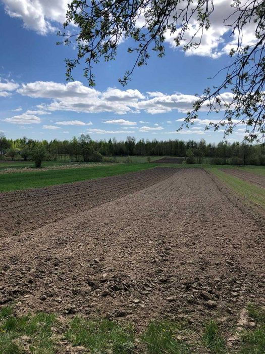 Продам будинок,земельнуділянку!