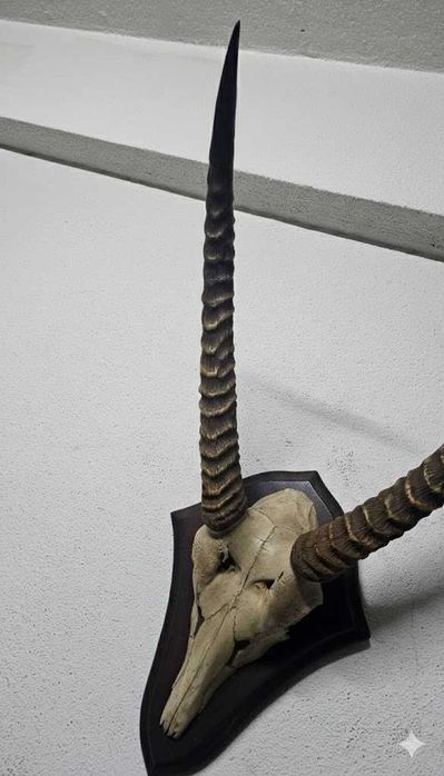 Troféu de Kobo Africano – Elegância Escultural