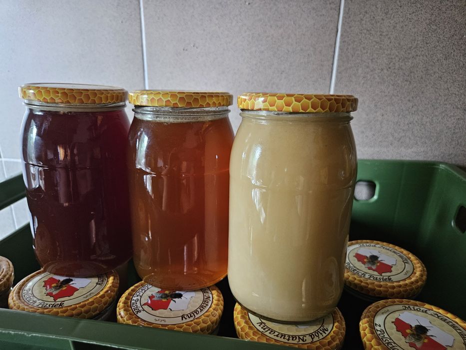 Naturalny miód z pasieki – prosto od pszczelarza!