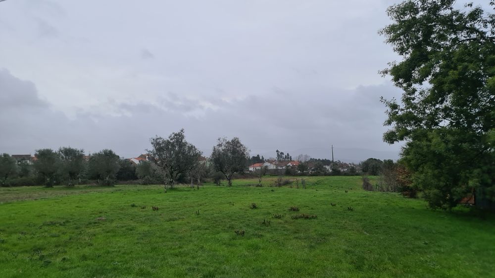Terreno em Pinheiro de Coja