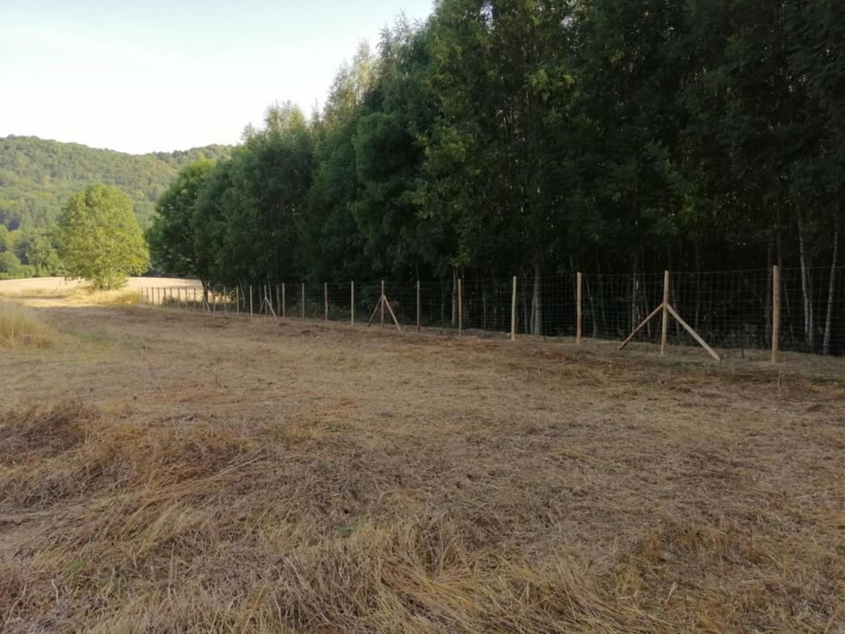 Ogrodzenie tymczasowe