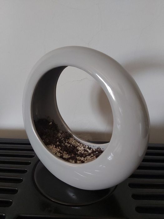 Floreira terrario em cerâmica