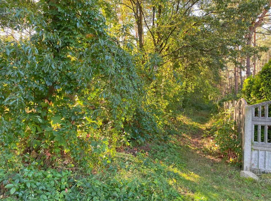 Działka budowlana Wiśniowa Góra gm. Andrespol, MPZP i badanie gruntu