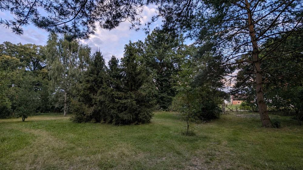 Dom do wynajęcia – 100 m², 4 pok. Duży ogród, las