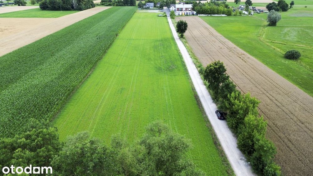 Teren inwestycyjny 15 574 m² | WZ - Widok 2