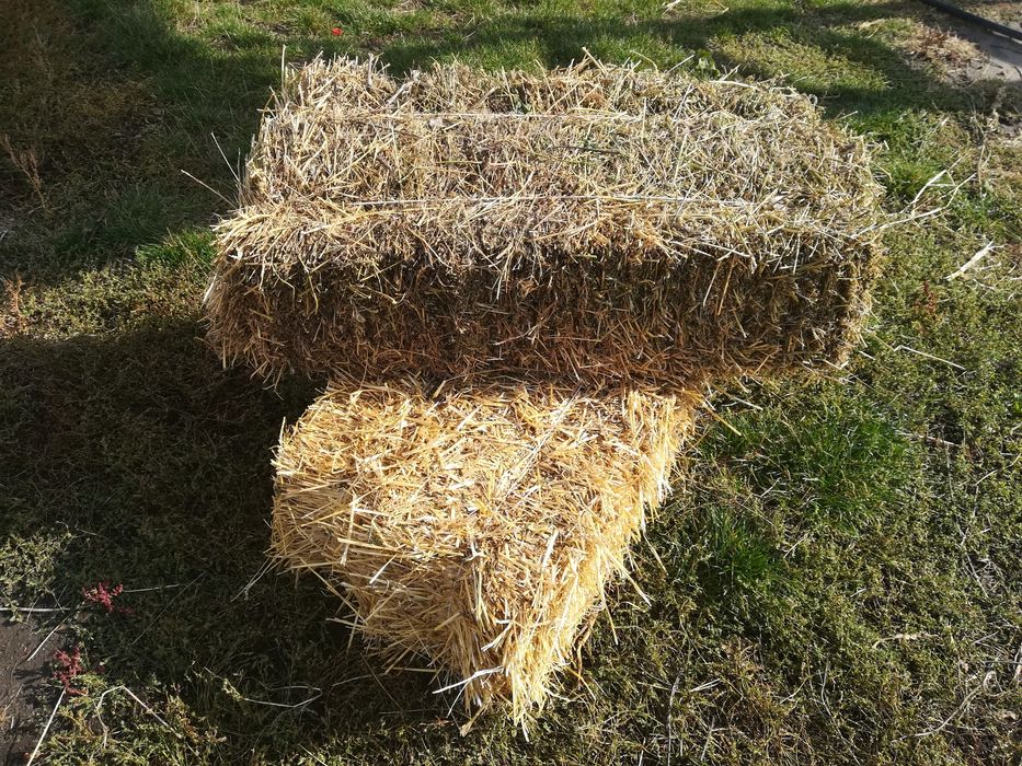 Сено луговое в тюках. 2025 года.