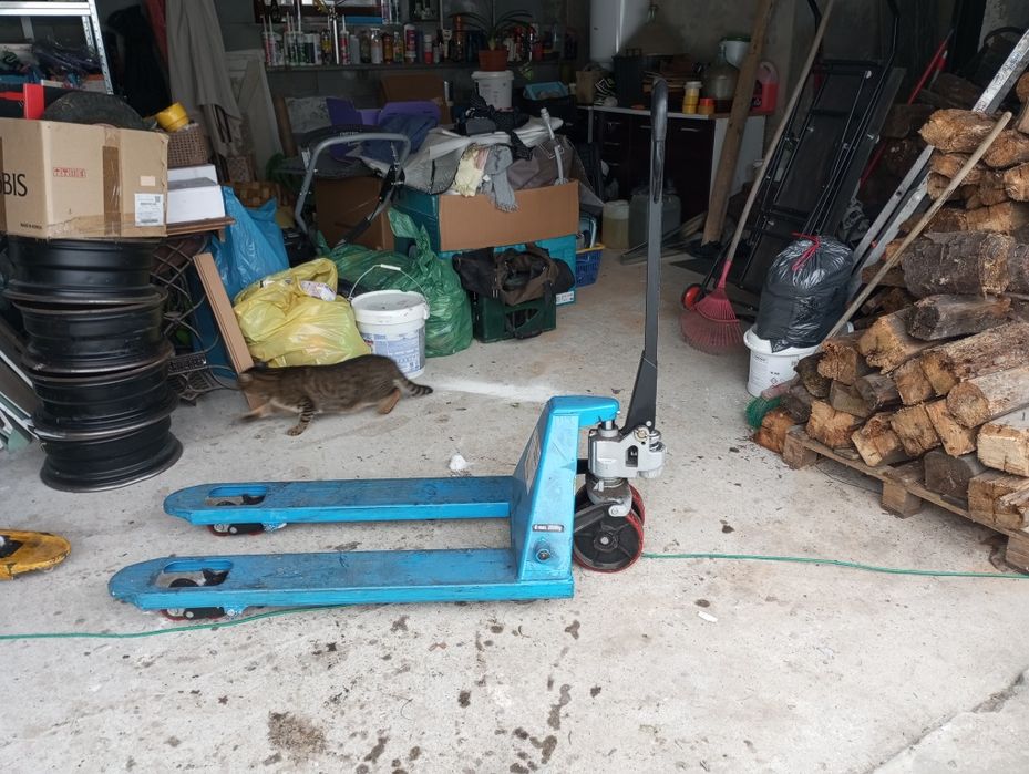 Paleciak, wózek paletowy/transportowy/ 2,5 tony