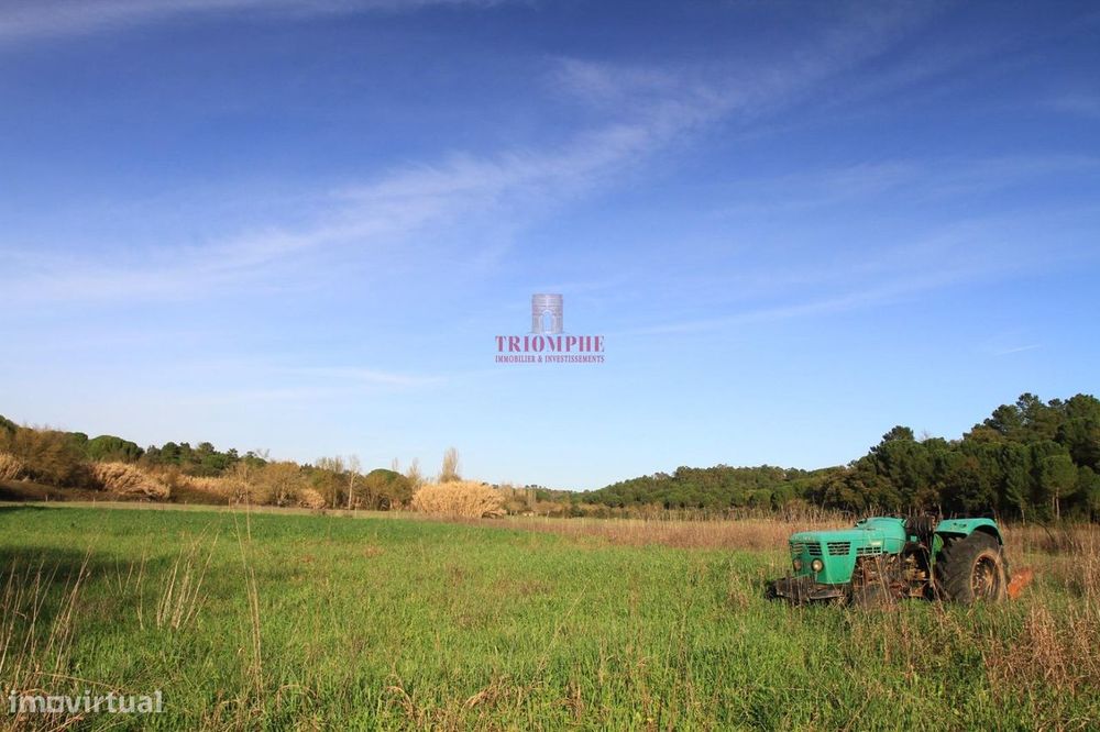 Terreno 35.000m2, Madalena e Beselga, Tomar — Madalena E Beselga, Santarém