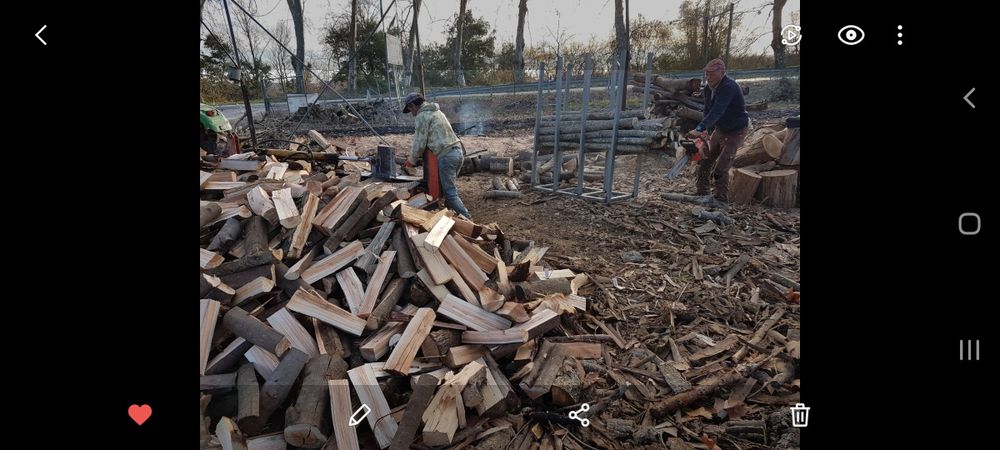 Lenha cidreira coimbra