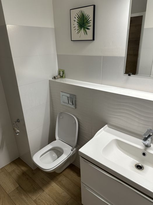 Pokoj na wynajem/room for rent