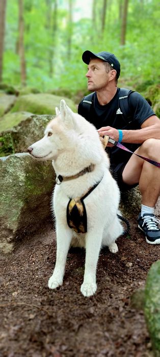 Siberian Husky/Suczka, Wybitna, ciemnooka