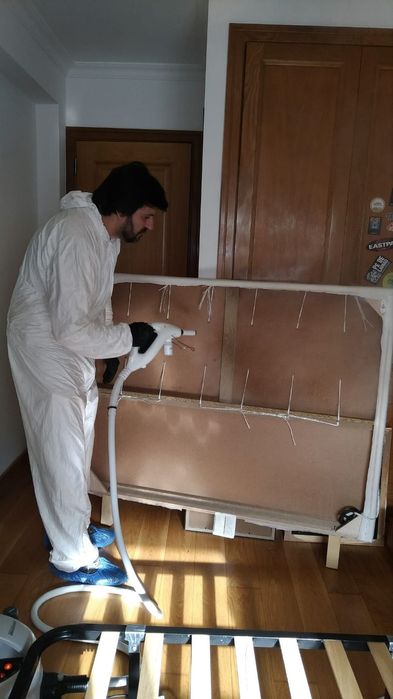 Controlo de Pragas e Desinfestações 24/7