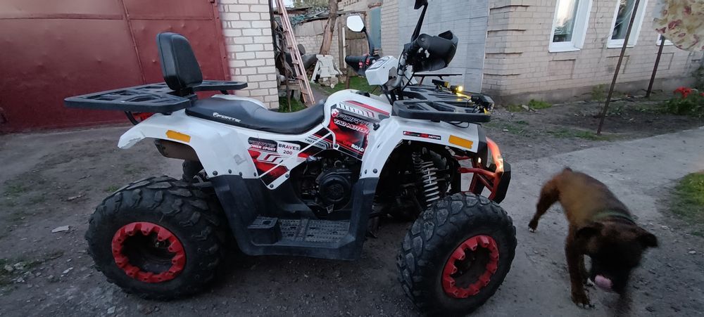 Продам квадроцикл Forte Braves 200