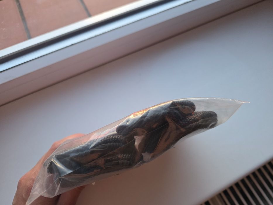 Buty dla psa rozmiar L skarpetki skarpety pies pomarańczowe czarne