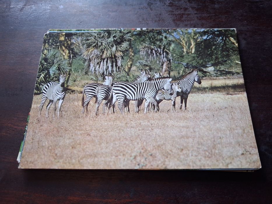 Lote postais Moçambique anos 70