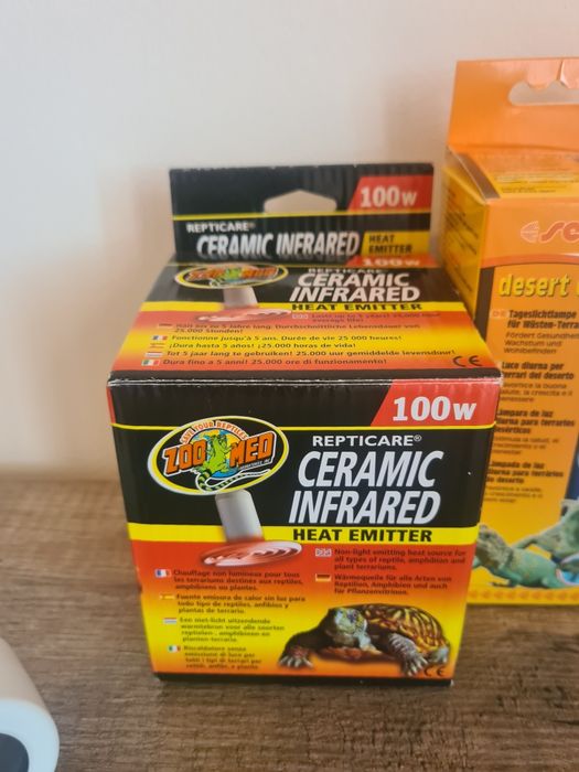 Terrario & Acessórios