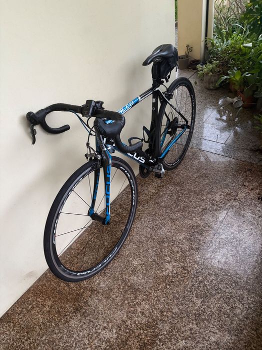 Bicicleta focus carbono M