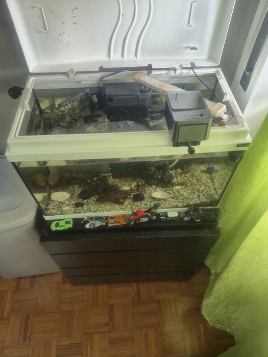 Vendo aquário com vários peixes