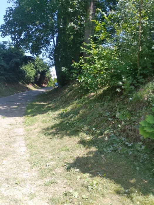 Usługi Ogrodnicze, wertykulacja trawników