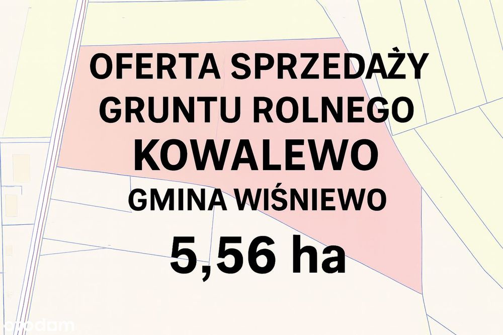 Działka Rolna Kowalewo Gm. Wiśniewo, Przy Drodze 5,56 Ha  Cena 10 Złm2