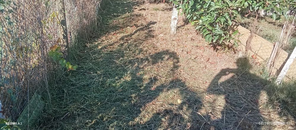 Limpeza terrenos e jardins