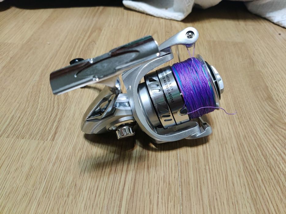 Carreto Silver dragon