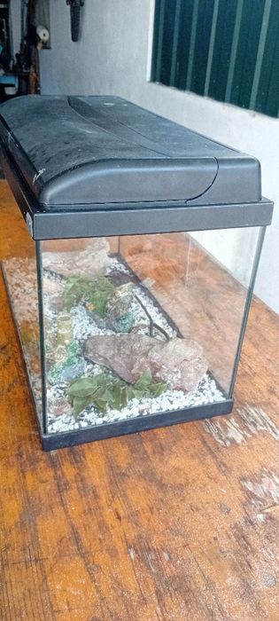 Aquário Aquatlantis 60 + oferta de acessórios