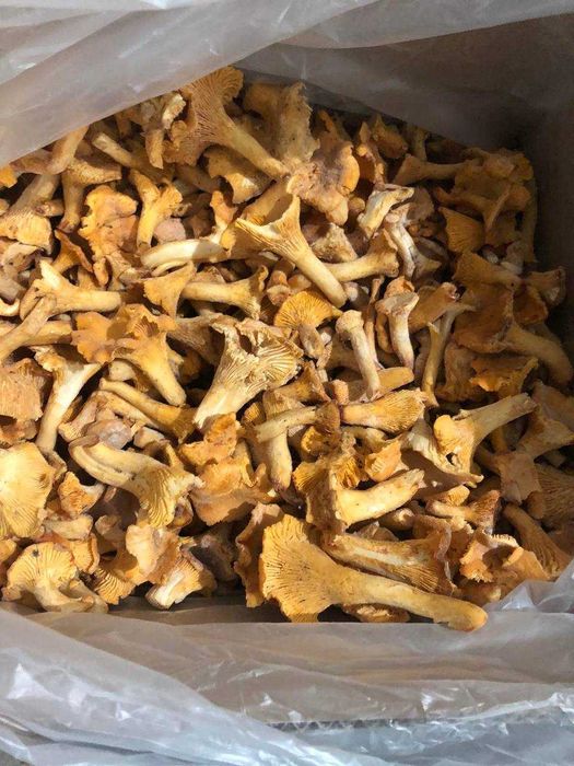 Kurki mrożone, organiczne