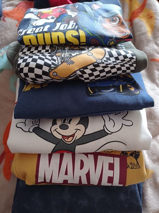 Lote camisola a capuz